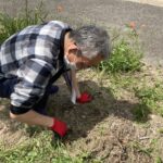 【作業の様子】草抜きをしました