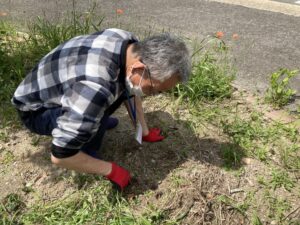 【作業の様子】草抜きをしました